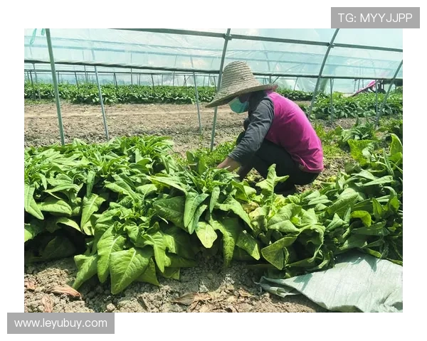石智勇训练完顺手拎走两袋米，我搬一袋都喘